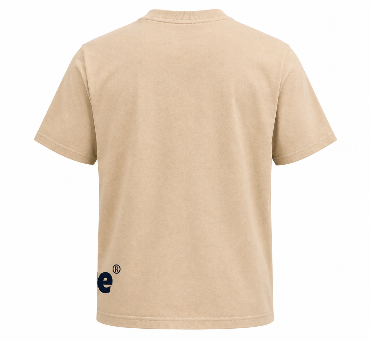 Wholesome Regular Fit T-Shirt